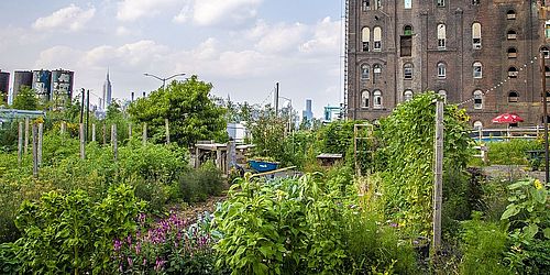 Transformative Gemeinschaften als innovative Lebensformen